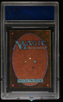 1993 Magic the Gathering City in a Bottle Arabian Nights #2 PSA 9 04475395